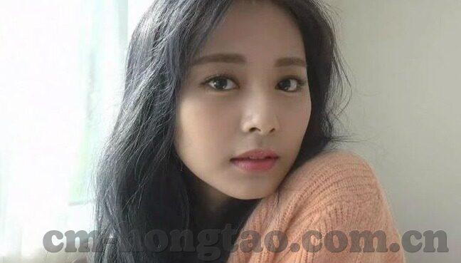 91麻豆网站免费-探寻网络边界，理性看待91麻豆与成人内容资源