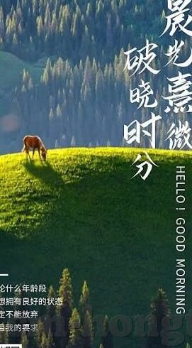 麻豆自制传媒 视频-自制传媒的魅力——探究麻豆自制传媒视频的独特魅力和影响力